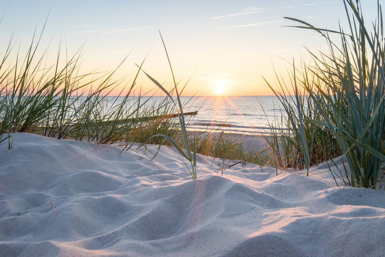 Your holiday destination on Usedom, the sunshine island - H+ Hotel Ferienpark Usedom - Official website